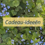 moederdagcadeaus
